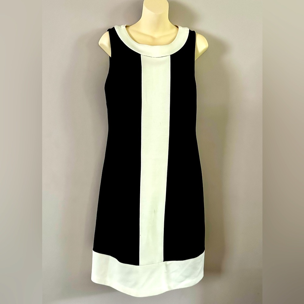 Robbie Bee Black and White Sheath Mini Dress